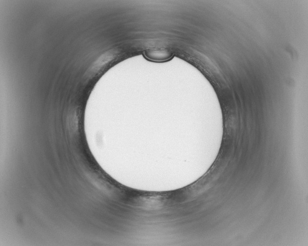 X0000115230120200911271830