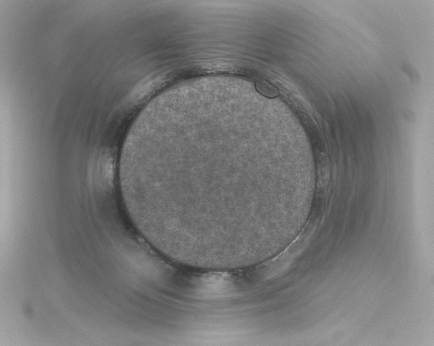 X0000115230124200911271830