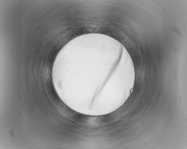 X0000115230130200911271830