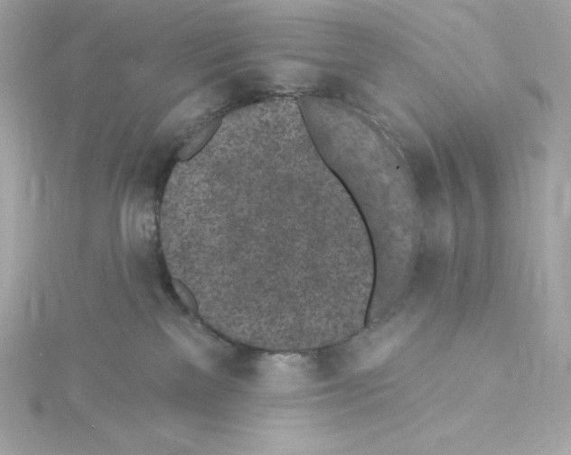 X0000115230137200911271830