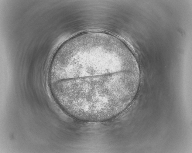 X0000115230145200911271829