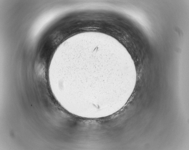 X0000115230146200911271829