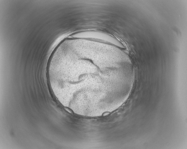 X0000115230147200911271829