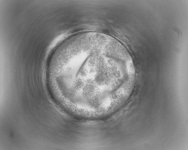 X0000115230149200911271829