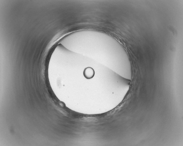 X0000115230150200911271829