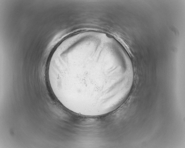 X0000115230151200911271829