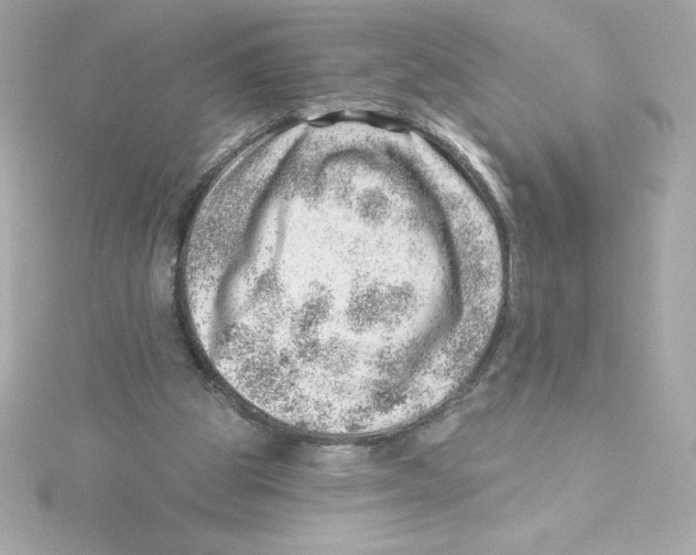 X0000115230153200911271829