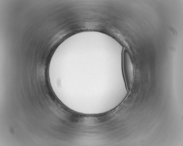 X0000115230154200911271829