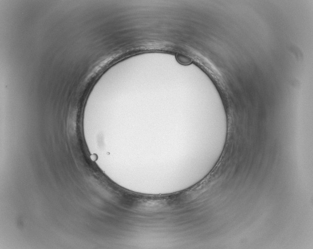 X0000115230155200911271829