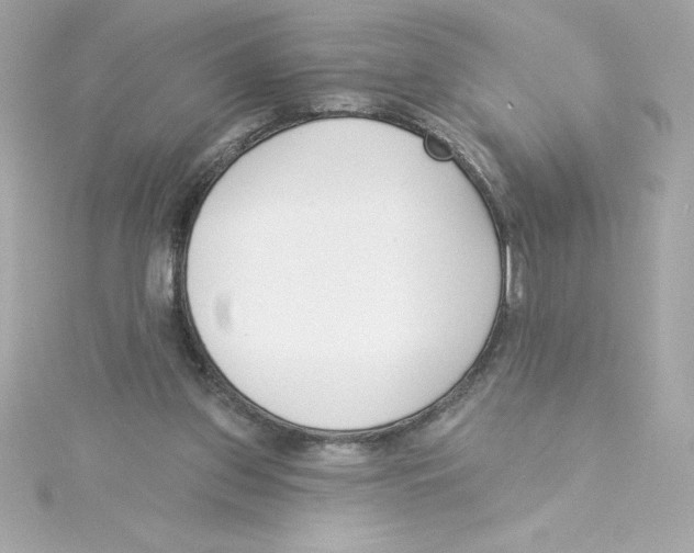 X0000115230157200911271829