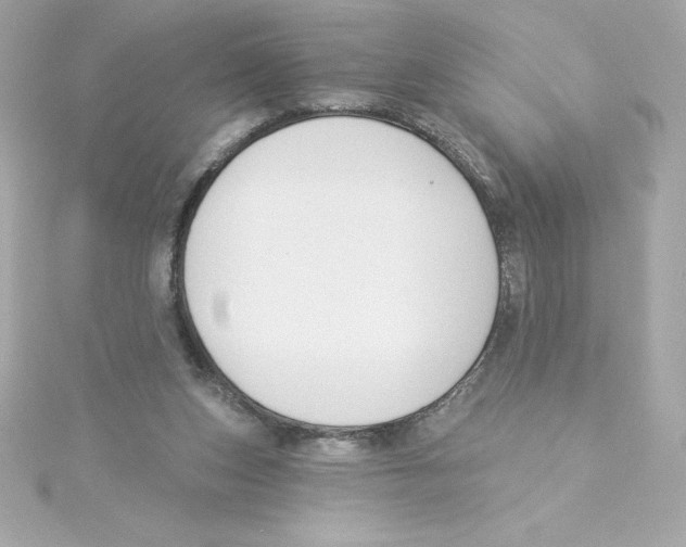 X0000115230159200911271829