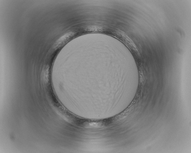 X0000115230163200911271829