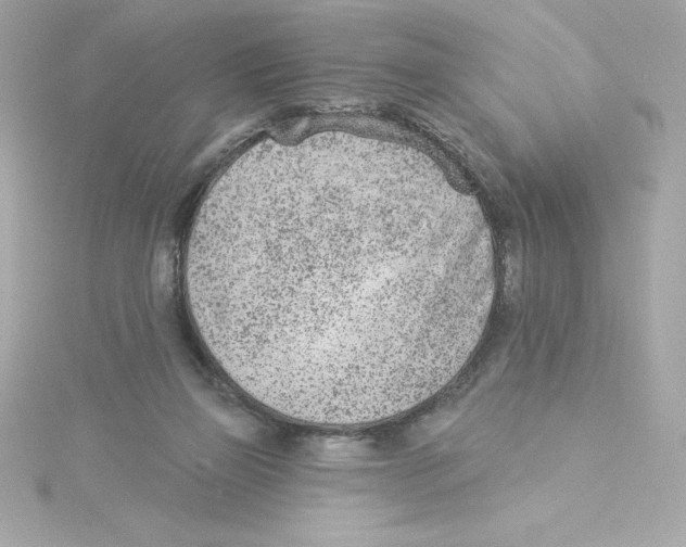 X0000115230165200911271829