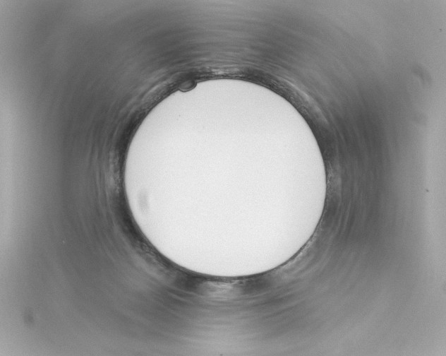 X0000115230170200911271830