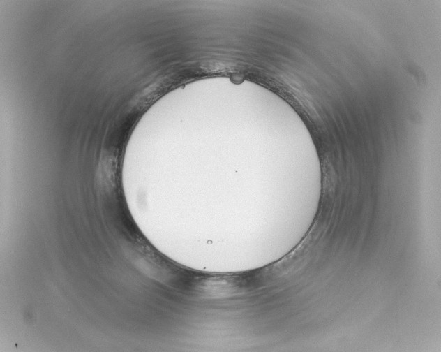 X0000115230171200911271830