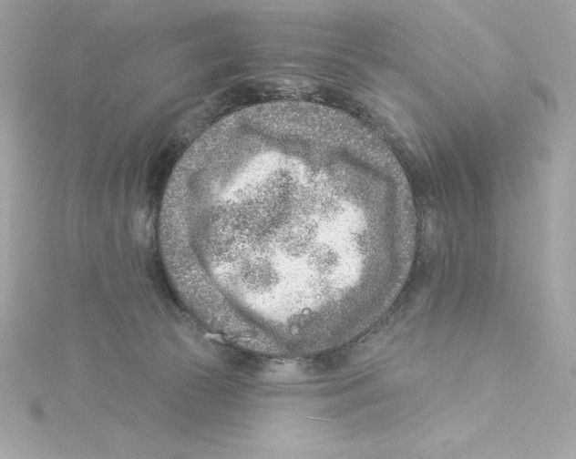 X0000115230177200911271830