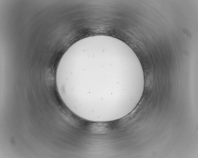 X0000115230179200911271830