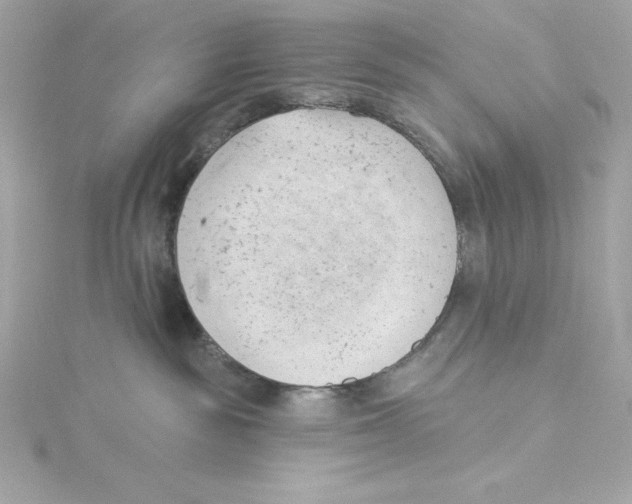 X0000115230189200911271830