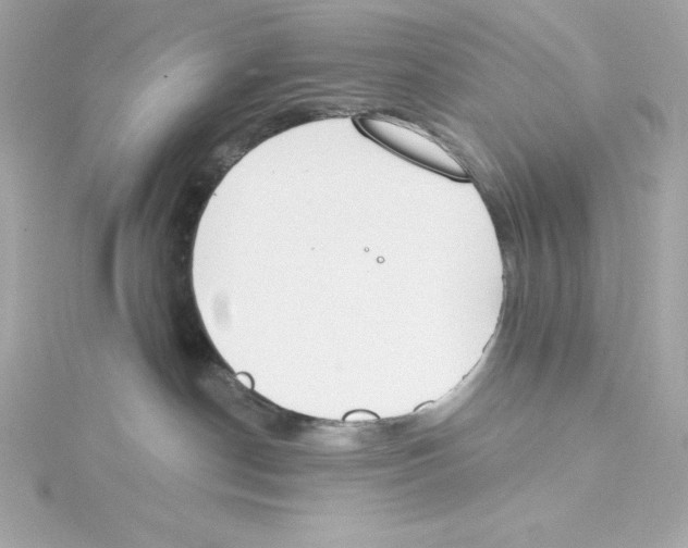 X0000115230190200911271830