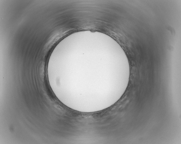 X0000115230194200911271829