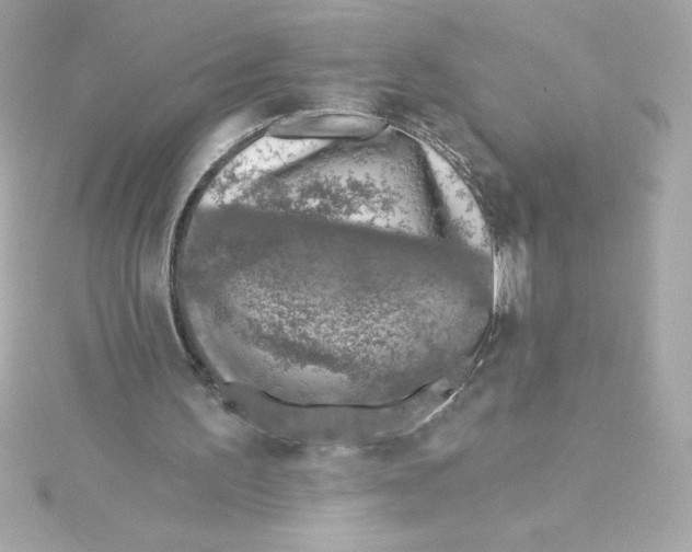 X0000115230195200911271829