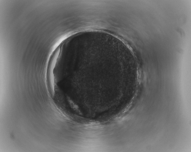 X0000115230196200911271829