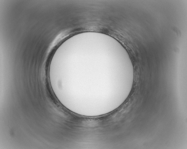 X0000115230198200911271829