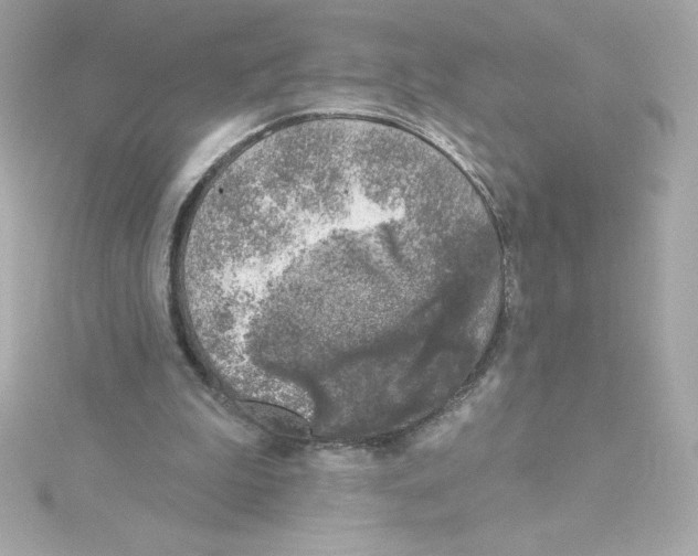 X0000115230199200911271829