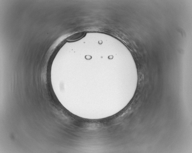 X0000115230200200911271829