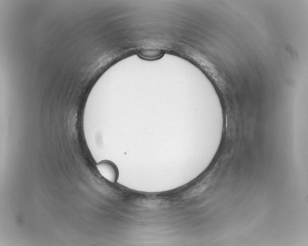 X0000115230201200911271829