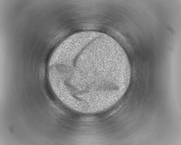 X0000115230202200911271829