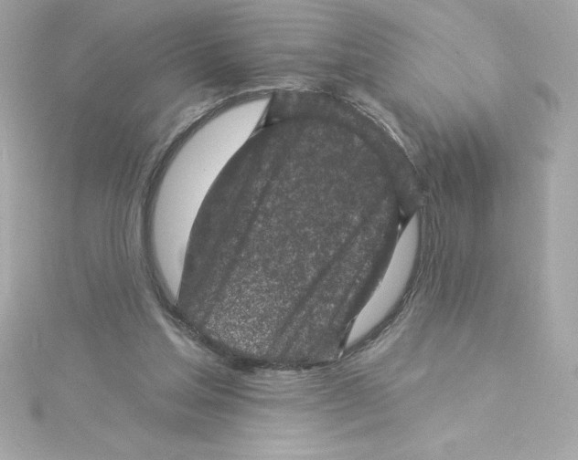 X0000115230205200911271829