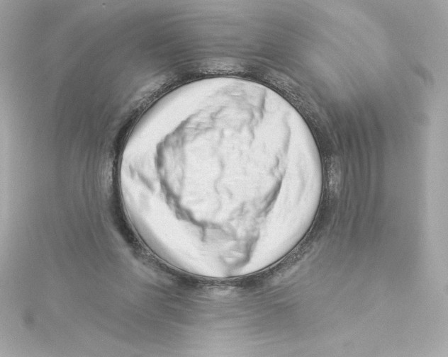 X0000115230206200911271829