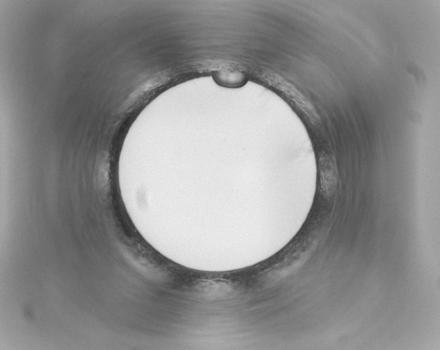 X0000115230207200911271829