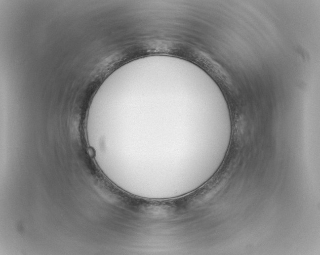 X0000115230209200911271829