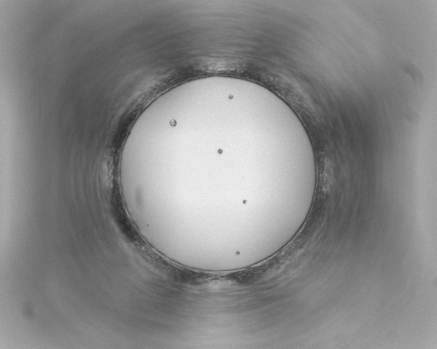 X0000115230210200911271829