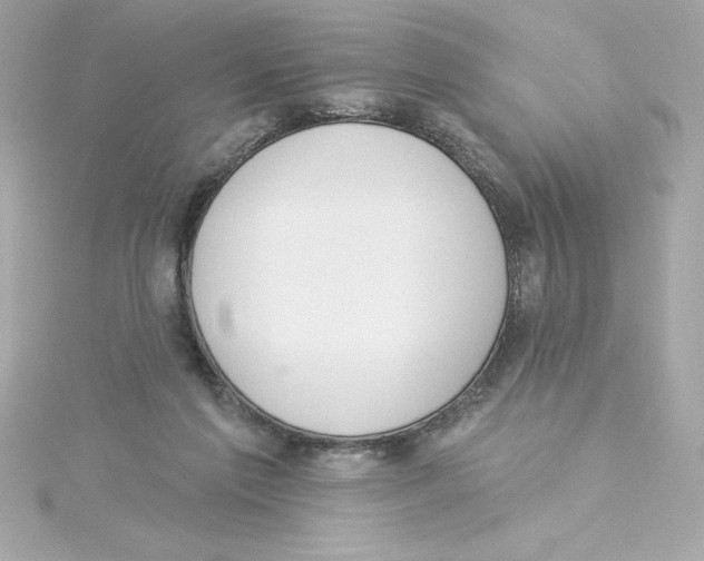 X0000115230213200911271829