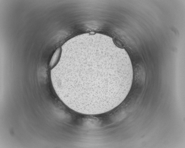 X0000115230215200911271829