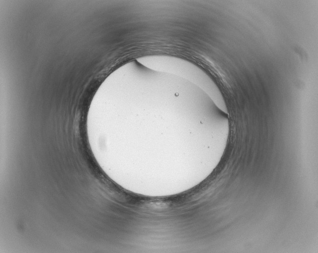 X0000115230217200911271829