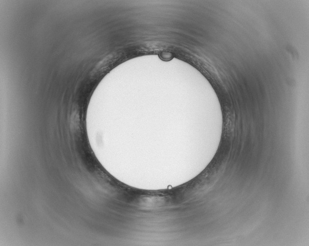 X0000115230220200911271829