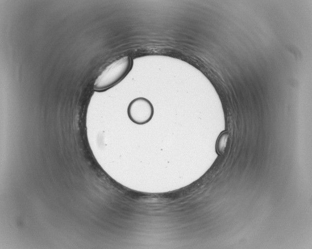 X0000115230221200911271829