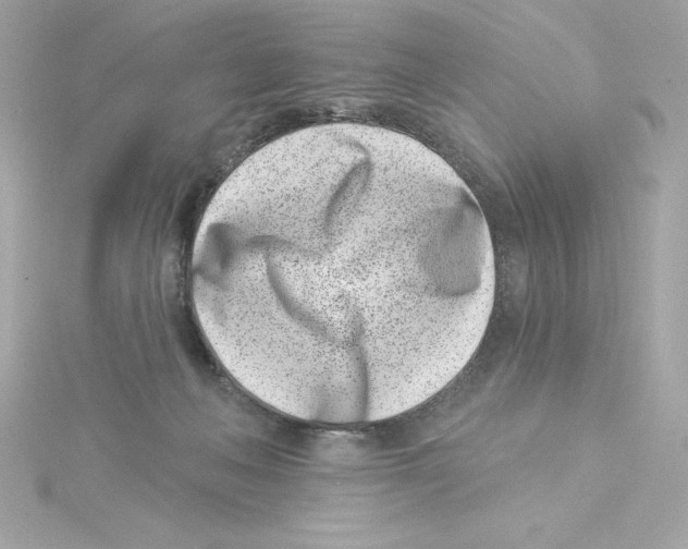 X0000115230222200911271829