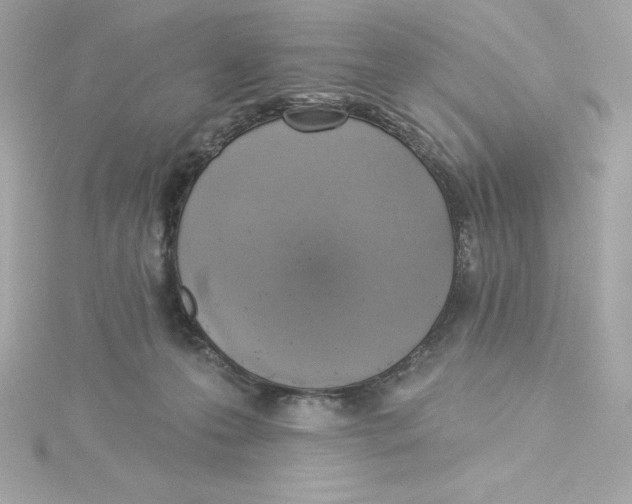 X0000115230223200911271829