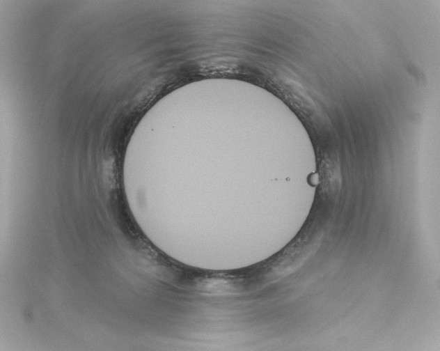 X0000115230224200911271829