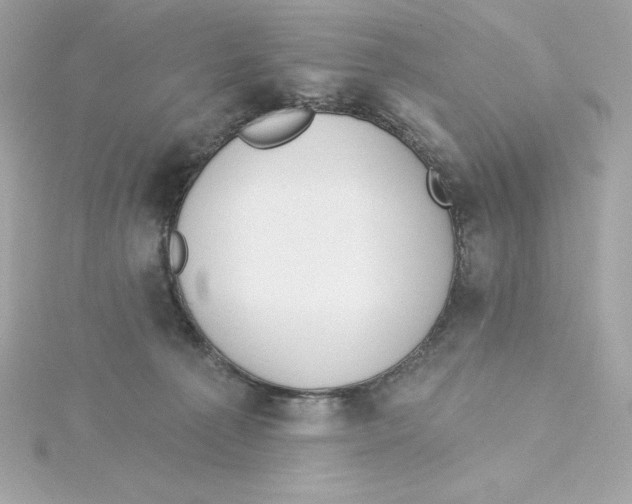 X0000115230225200911271829