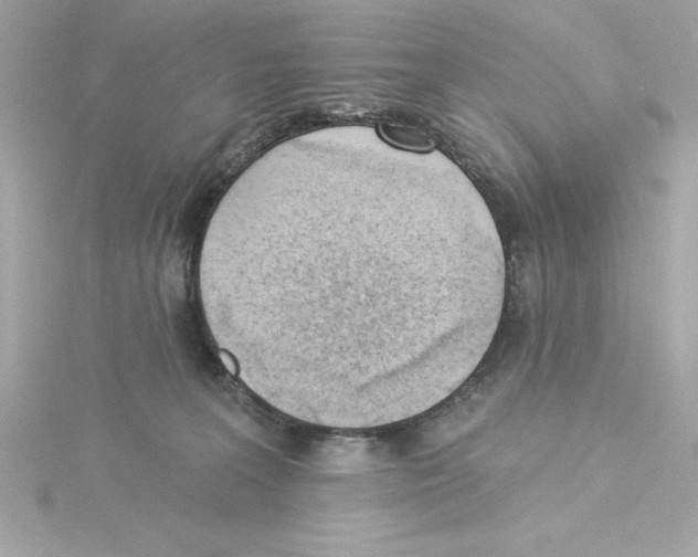 X0000115230227200911271829