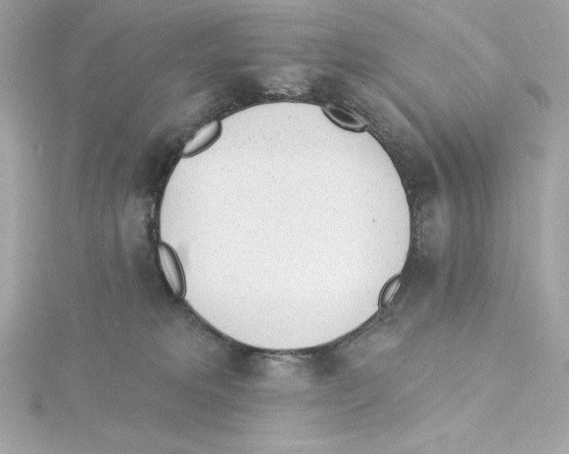 X0000115230229200911271829