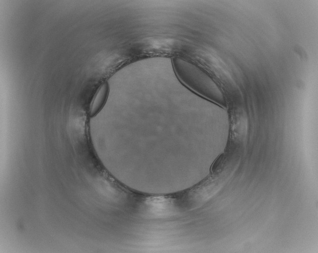 X0000115230231200911271829