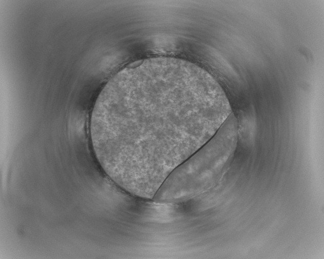 X0000115230233200911271829