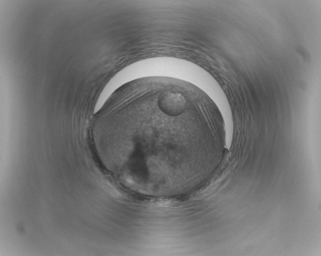 X0000115230235200911271829